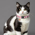 Cat Collar Breakaway, 2 Pack Cotton Cats Collars with Bells, Cute Flowers Shaped for Girl Boy Kittens, Pink and Orange