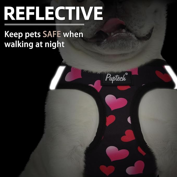 PUPTECK Dog Harness and Leash Set for Small Medium Dogs No Pull Step-in Soft Mesh Puppy Cat Vest Harnesses Reflective at Night Valentine, Black&Pink Heart, M