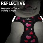 PUPTECK Dog Harness and Leash Set for Small Medium Dogs No Pull Step-in Soft Mesh Puppy Cat Vest Valentine Harnesses Reflective at Night, Black&Pink Heart, XS