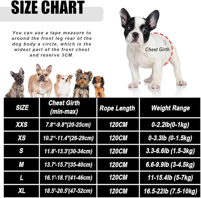 FEimaX Dog Harness and Leash Set for Walking, Soft Mesh Adjustable Easy Control Lightweight Cat Vest Harnesses with Reflective Strips, Escape Proof Small Dogs Cats Vests (Orange, Large)
