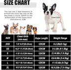 FEimaX Dog Harness and Leash Set for Walking, Soft Mesh Adjustable Easy Control Lightweight Cat Vest Harnesses with Reflective Strips, Escape Proof Small Dogs Cats Vests