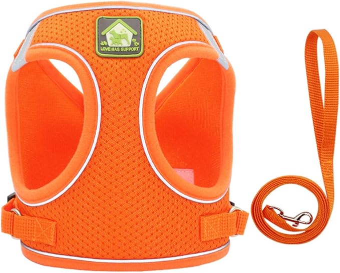 FEimaX Dog Harness and Leash Set, No Pull Breathable Soft Mesh Puppy Vest Harness Reflective Adjustable Pet Harnesses for Small Medium Dogs and Cats - Outdoor Easy Control for Walking