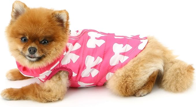SMALLLEE_LUCKY_STORE Pet Water Resistant Winter Jacket Vest with D-Ring for Small Dog Cat Zip-up Padded Puppy Coat Chihuahua Yorkie Kitten Warm Clothes, Hot-Pink, S