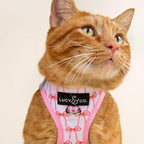 Lucy & Co. Take a Bow Step-in Cat Harness & Leash Bundle – Reflective, Breathable & Adjustable Harness for Cats, Kittens & Small Dogs, Lightweight & Secure and Dual Leash Clips – Medium