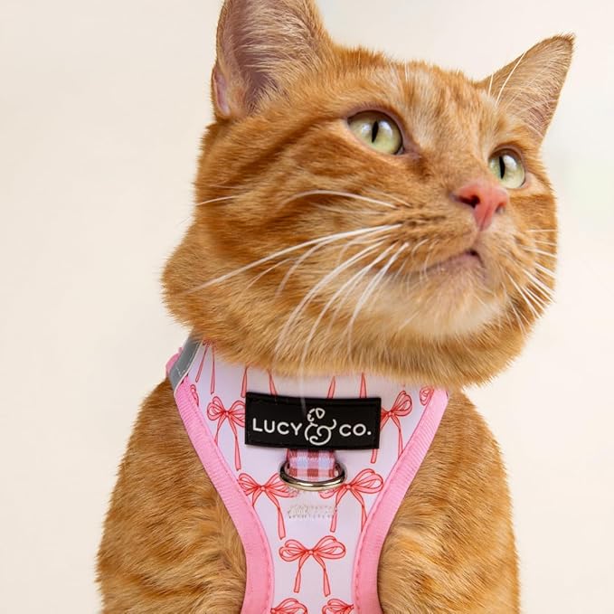 Lucy & Co. Take a Bow Step-in Cat Harness & Leash Bundle – Reflective, Breathable & Adjustable Harness for Cats, Kittens & Small Dogs, Lightweight & Secure and Dual Leash Clips – X-Small
