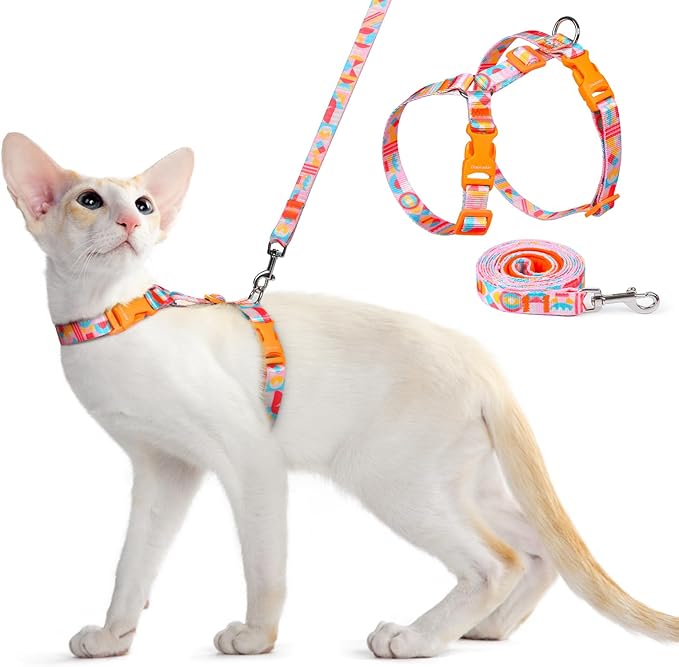 Dooradar Cat Harness and Leash, Escape Proof Adjustable Kitten Vest, Lightweight Soft Pet Straps, Easy Wearing for Small Medium Kitty Safe Walking Travel Control, Rainbow, S
