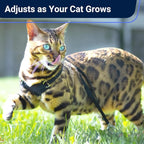 Houdini™ Escape Proof Cat Harness and Leash Set by OutdoorBengal for Walking Cats and Kittens (Vegan Leather, Large Cat)