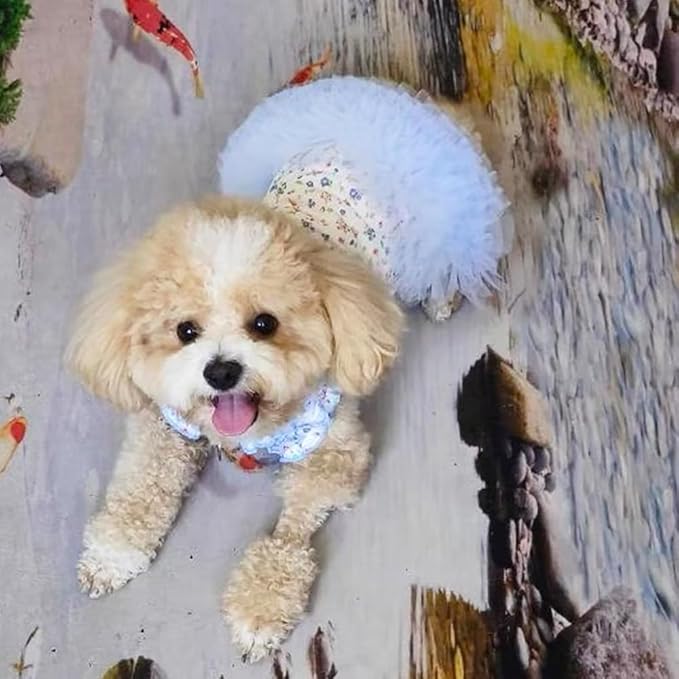 Floral Puppy Dress with D-Ring Ruffled Small Dog Clothes Female Spring Cat Outfit Sleeveless Pet Princess Skirt Cute Dogs Tutu Dresses (Blue, Medium)