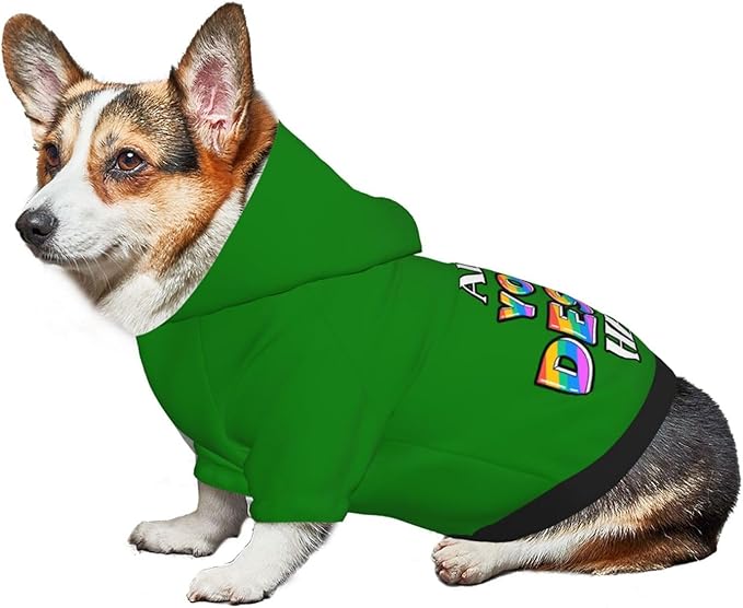 Custom Dog Hoodie Personalized Dog Sweatshirt, Dog Clothes for Small Dogs Customizable, Green, XXL, Ropa para Perros Pequeños Customized Pets Puppy Clothes, Personalized Gifts
