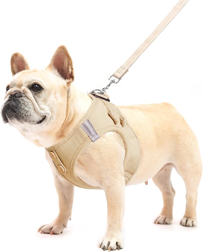 PUPTECK Dog Harness and Leash Set for Small Medium Dogs No Pull Step-in Soft Mesh Puppy Cat Vest Harnesses Reflective at Night, Denim Burlywood S