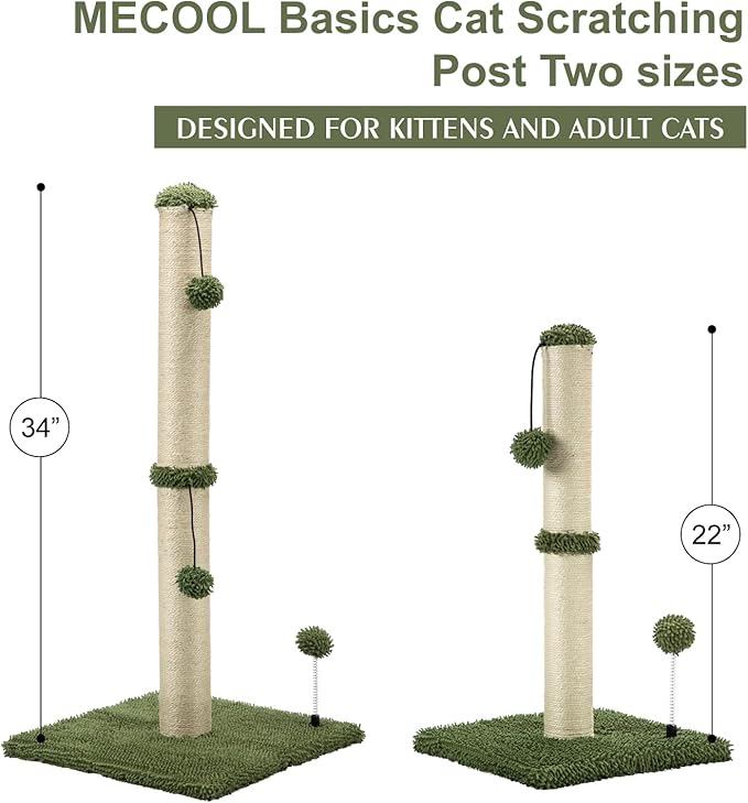 MECOOL Cat Scratching Post Premium Basics Kitten Scratcher Sisal Scratch Posts with Hanging Ball 22in for Kittens or Smaller Cats, Cactus Green