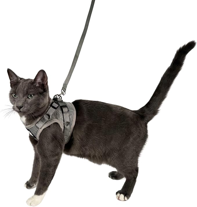 Travel Cat Harness and Leash Set - Adjustable Fit Mesh Cat Harness and Reflective Strap - Comfort Walking Vest for Kitten for Outdoor Walking, Hiking (Small, Grey)
