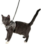 Travel Cat Harness and Leash Set - Adjustable Fit Mesh Cat Harness and Reflective Strap - Comfort Walking Vest for Kitten for Outdoor Walking, Hiking (Small, Grey)
