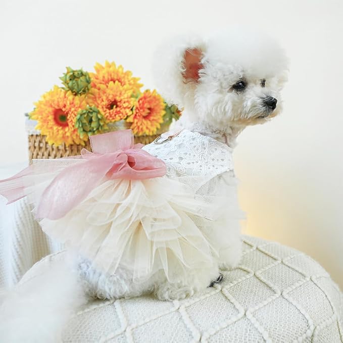 White Small Dog Wedding Dress with D-Ring, Bow Knot Puppy Clothes for Small Dog Girl,Cat Birthday Outfit, Pet Party Dress for Kitten Chihuahua Yorkie Pomeranian (White, X-Small)