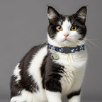 Cat Collar Breakaway, 2 Pack Cotton Cats Collars with Bells, Cute Flowers Shaped for Girl Boy Kittens, Purple and Blue