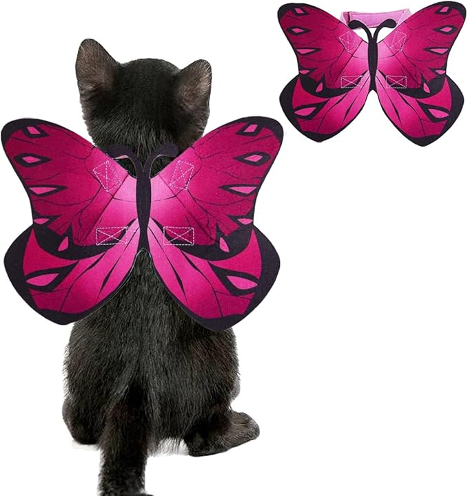 Pet Cat Bat Wings for Halloween Party Decoration, Puppy Collar Leads Cosplay Bat Costume,Cute Puppy Cat Dress Up Accessories