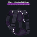Rttochfy Cat Harness and Leash Set, Adjustable and Reflective Cat Vest, Escape Proof Kitten Harness, Easy to Put on with 3 Buckles for Cats Walking and Traveling (Purple, L)