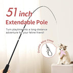 SONGWAY Cat Wand Toys for Indoor Cats - Cat Toy Set with Retractable Teaser Wand and 6 PCS Fairy Feather Toy Refills, Dragonfly Tassel Plush Cat Toys Interactive, Pink