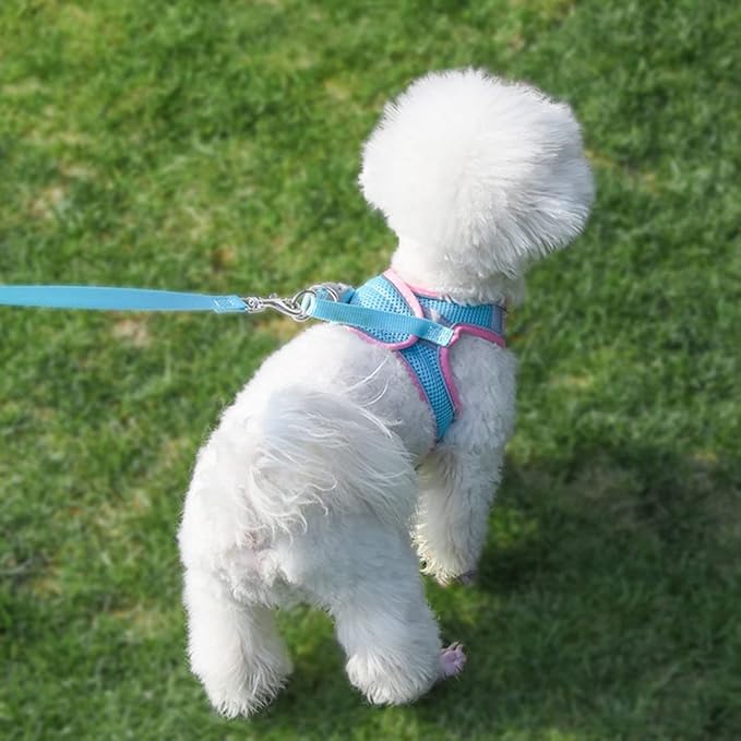 XXS Dog Harness and Leash Set, No-Pull Puppy Harness for Easy Walk, Breathable Reflective Cats Vest for XXS Xs Small Medium Breed Pet Dogs, Pink-B XXSmall