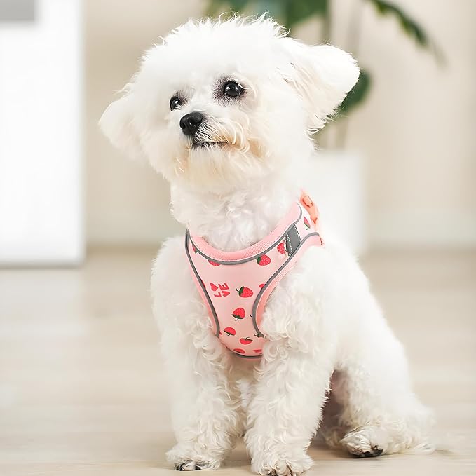 Step in Dog Harness and Leash Set, Flower Adjustable Easy Walk Puppy Harnesses, Soft Mesh No Pull Pet Vest Harness for Small Medium Dogs(Strawberry, M)