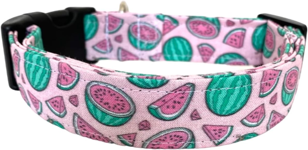 The Watermelon in Pink Dog Collar (Large (1.5" Wide))
