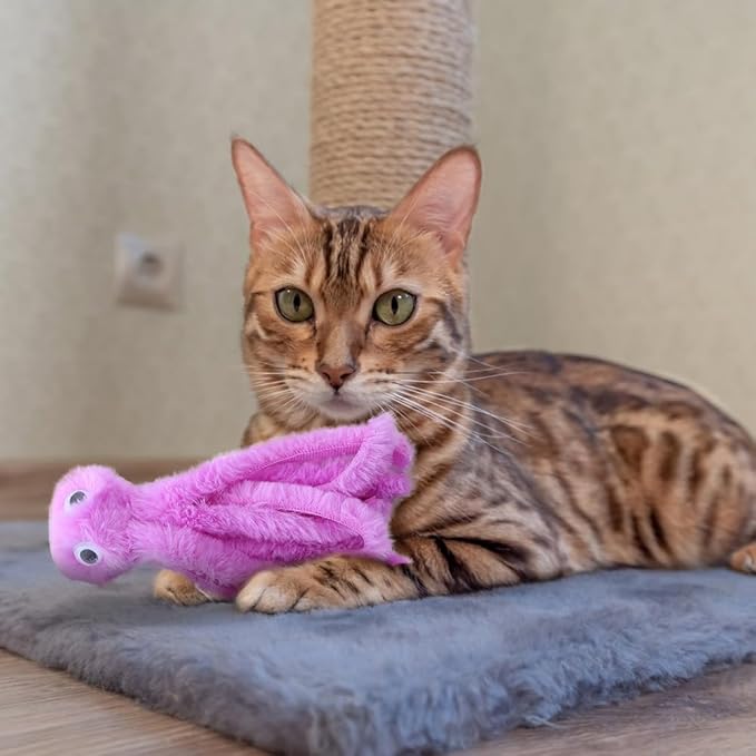 DONGKER Cat Plush Toys,3 PCS Octopus Shaped Cat Teaser Toy with Little Catnip Inside for Kitten Play Halloween Christmas Xmas Party