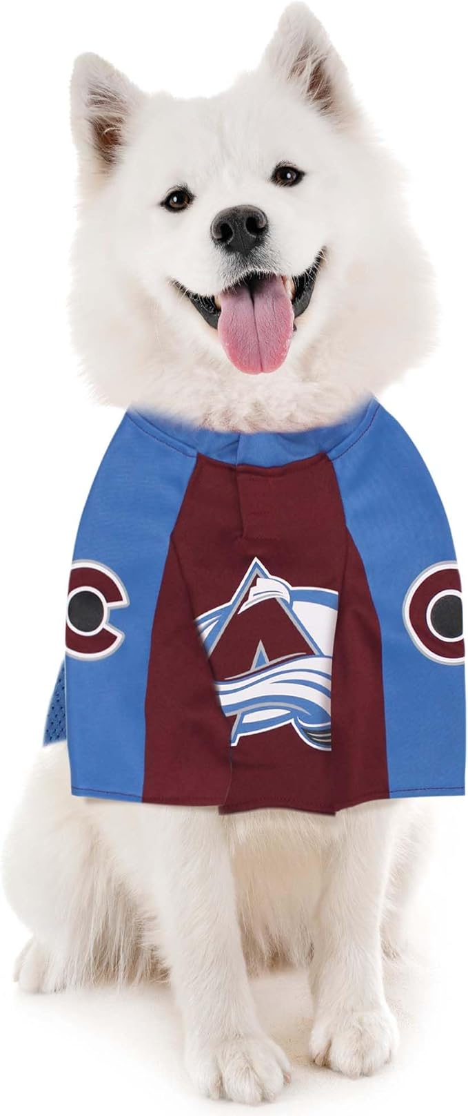 Pets First NHLPA Nathan MacKinnon Mesh Jersey for Dogs & Cats, Colorado Avalanche Nate Dogg-29, Dog Jersey, Size Large, Licensed Dog Jersey with Your Favorite Hockey Team Player