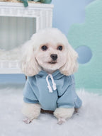 QWINEE Basic Dog Hoodie Sweatshirt Puppy Sweater Warm Cat Costumes Pet Clothes for Chihuahua Puppy Kitten Small Medium Dogs Pink and Green Small