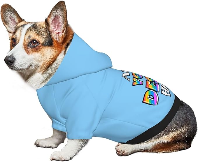 Personalized Dog Hoodie Custom Hooded Pet Warm Pullover Sweatshirt with Name Number Clothes for Chihuahua Pupppy Kitten Hoodies Puppy Soft Sweater Winter Small Dogs Cats, Light Sky Blue, L,