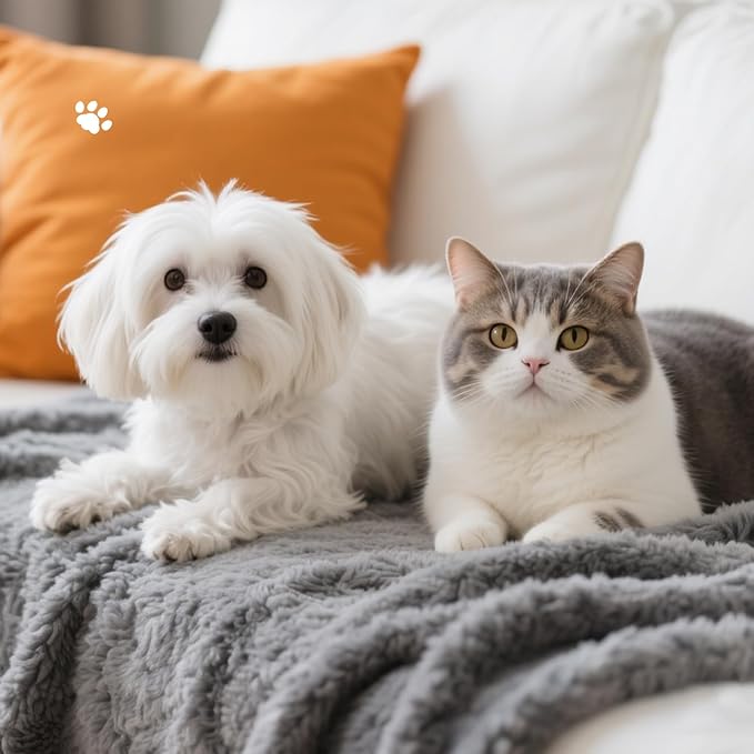 Cat Blanket for Small Dogs Puppy Cat Kitten, 16" x 24" Soft Warm Sherpa Fleece Cat Blanket Washable, Grey/Beige Pack 2