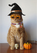 Halloween Cat Collar-2Pack Autumn Pumpkin Kitten Collars-Funny Halloween Ghost Breakaway Kitty Collars-Cute Ghost & Pumpkin Pendants,Fall Cat Collar with Bell, for Girl & Boy Cats