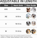PUPTECK Basic Adjustable Cat Collar with Bling Diamond and Double Bells, for Kitten and Small Puppy, Fashion and Shining Dog Rhinestone Collars, 6-8 in, Silver