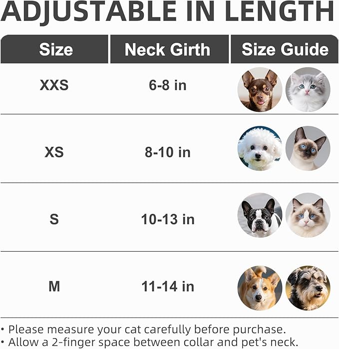 PUPTECK Basic Adjustable Cat Collar with Bling Diamond and Double Bells, for Kitten and Small Puppy, Fashion and Shining Dog Rhinestone Collars, 6-8 in, Silver