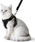 PUPTECK Cat Harness and Leash Set Escape Proof Reflective Cat Walking Harness Adjustable Soft Breathable Mesh Vest for Small Pets, Black, M