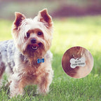 Personalized Dog Cute Paw Pet ID Tag for Pet Collar or Key Chain - Dog Name tag, cat Tags Personalized, cat id tag, Kitten Name tag, Kitten id tag (Bone-Shaped-Small: Rose Red)