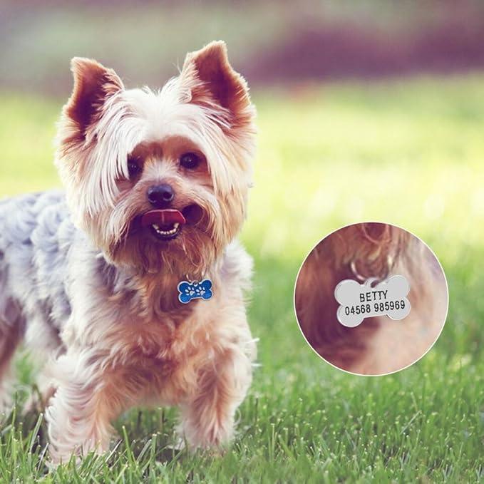 Personalized Dog Cute Paw Pet ID Tag for Pet Collar or Key Chain - cat Name tag, Personalized cat id tag, Kitten Name tag, Kitten id tag (Bone-Shaped-Small: Ocean Blue)