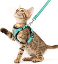 PUPTECK Cat Harness and Leash Set Escape Proof Reflective Cat Walking Harness Adjustable Soft Breathable Mesh Vest for Small Pets, Aquamarine, XS