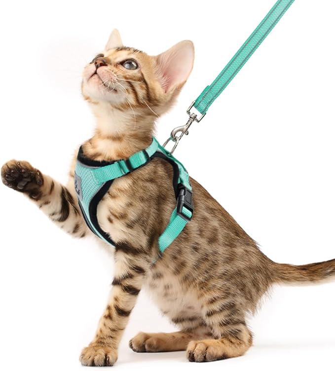 PUPTECK Cat Harness and Leash Set Escape Proof Reflective Cat Walking Harness Adjustable Soft Breathable Mesh Vest for Small Pets, Aquamarine, XS