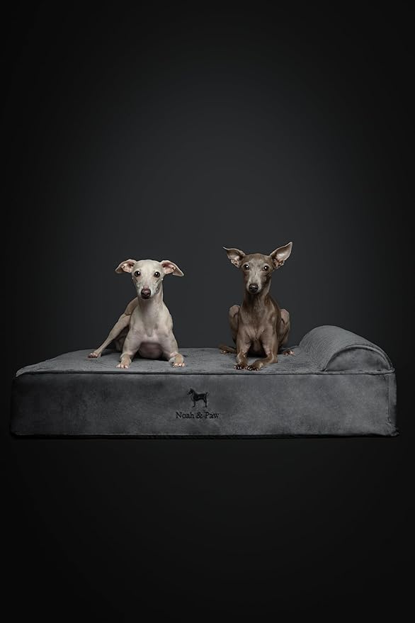 NOAH & PAW Large Dog Bed, 35x25x8.7 Inch, Orthopedic Dog Beds, Eggshell Memory Foam Infused with Cooling Gel, Waterproof, Machine Washable, Includes Inner Cover (Velvet Collection)