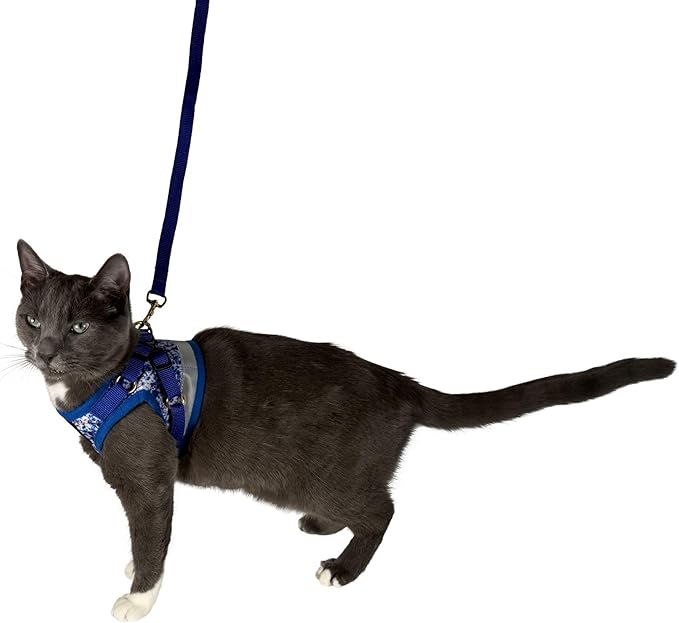 Travel Cat Harness and Leash Set - Adjustable Fit Mesh Cat Harness and Reflective Strap - Comfort Walking Vest for Kitten for Outdoor Walking, Hiking (Large, Groovy)