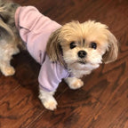 Jecikelon Winter Dog Hoodie Sweatshirts with Pockets Warm Dog Clothes for Small Dogs Chihuahua Coat Clothing Puppy Cat Custume (Purple, XX-Small)