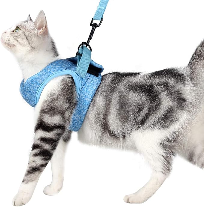 HEYWEAN Cat Harness and Leash - Ultra Light Escape Proof Kitten Collar Cat Walking Jacket with Running Cushioning Soft and Comfortable Suitable for Puppies Rabbits