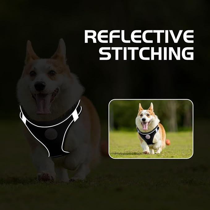 Soft Mesh Dog Harness and Leash Set, No Pull Puppy Harness and Leash Set, Reflective Step in Harness for Small Medium Dogs, Easy Walk Escape Proof Vest Harnesses (Black, S)