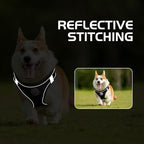 Soft Mesh Dog Harness and Leash Set, No Pull Puppy Harness and Leash Set, Reflective Step in Harness for Small Medium Dogs, Easy Walk Escape Proof Vest Harnesses (Black, S)