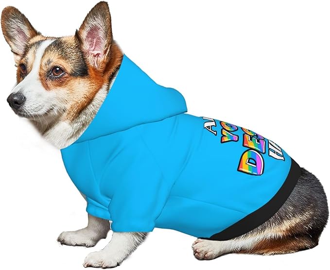 Dog Hoodie Design Your Own Personalized Pet Hoodies Small Pets Wear Shirt Customized Dog Clothes Custom Hooded Sweatshirt Pullover Text Image Dogs Puppy Cat and Kitten, Deep Sky Blue, XL,