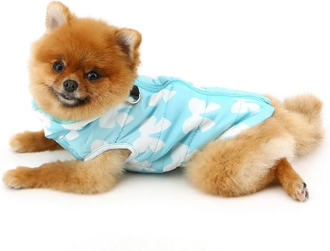 SMALLLEE_LUCKY_STORE Pet Water Resistant Winter Jacket Vest with D-Ring for Small Dog Cat Zip-up Padded Puppy Coat Chihuahua Yorkie Kitten Warm Clothes, Blue, XL