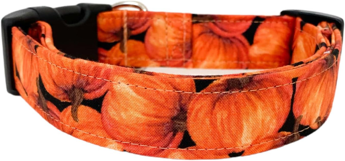 Orange Pumpkins Dog Collar (Tiny)