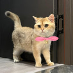 Bunny Ear Cat Collar with Bell and Bow Tie, Breakaway Cute Bowtie Kitten Collars(Hot Pink)