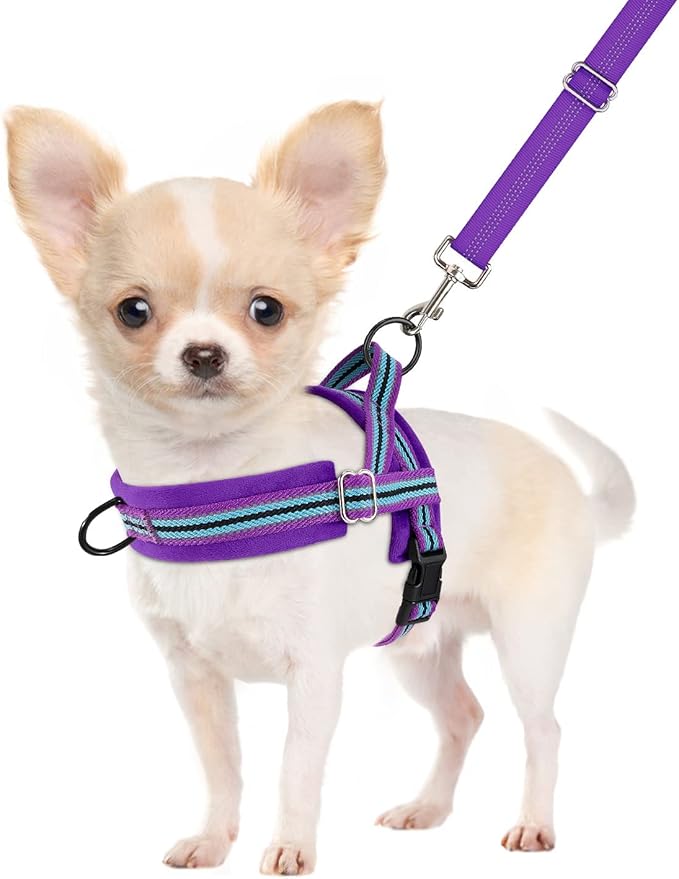 SlowTon No Pull Small Dog Harness and Leash Set, Puppy Soft Vest Harness Neck & Chest Adjustable, Reflective Lightweight Harness & Anti-Twist Pet Lead Combo for Small Medium Dogs (PU-Front Clip, XS)