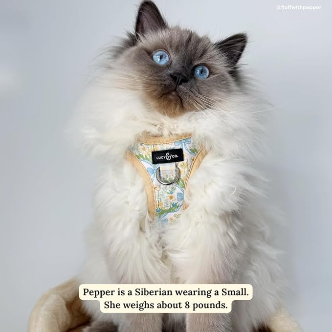 Lucy & Co. Sunshine and Daffodils Step-in Cat Harness and Leash Set Bundle, Reflective, Breathable & Adjustable Harness for Cats, Kittens & Small Dogs, Lightweight & Secure - X-Small